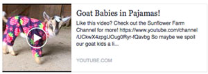 Top Creative Clicks for the Week - Labor Day and Facebook . . . Is God an Algorithm?