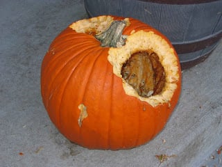 Creative Quickie - A Squirrelly Story