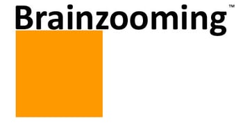 101002 The Brainzooming Group Logo - No Tagline copy
