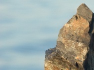 5 Ways to Avoid a Creative Block on a Project