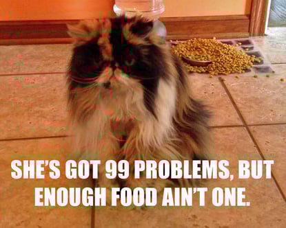 On Losing Clementine, Our Director of Enthusiasm