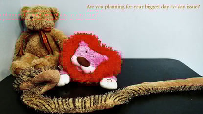A Big Clue Your Strategic Planning Process Is Focused on the Wrong Issues
