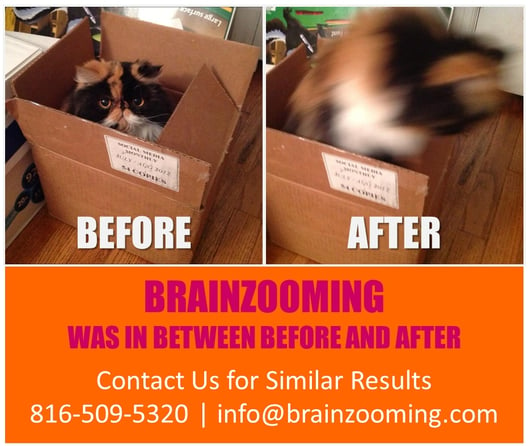 Brainzooming-Before-After