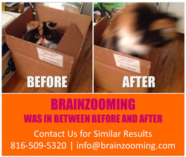 Brainzooming-Before-After