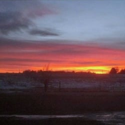 Christmas Reflections from Our Holiday Road Trip