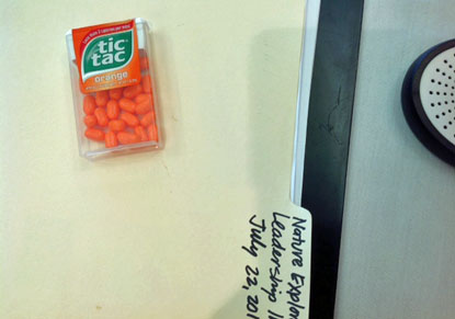 Orange-Tic-Tac