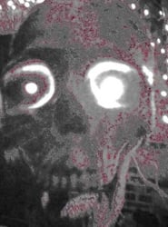 Zombies and Vampires - Strategic Perspectives on Their Popularity