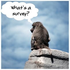 survey-monkey