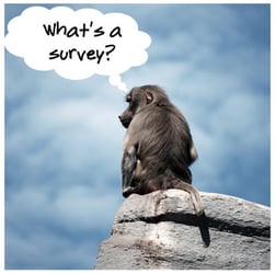 Strategic Thinking - When DIY Apps Lead to Crappy Performance